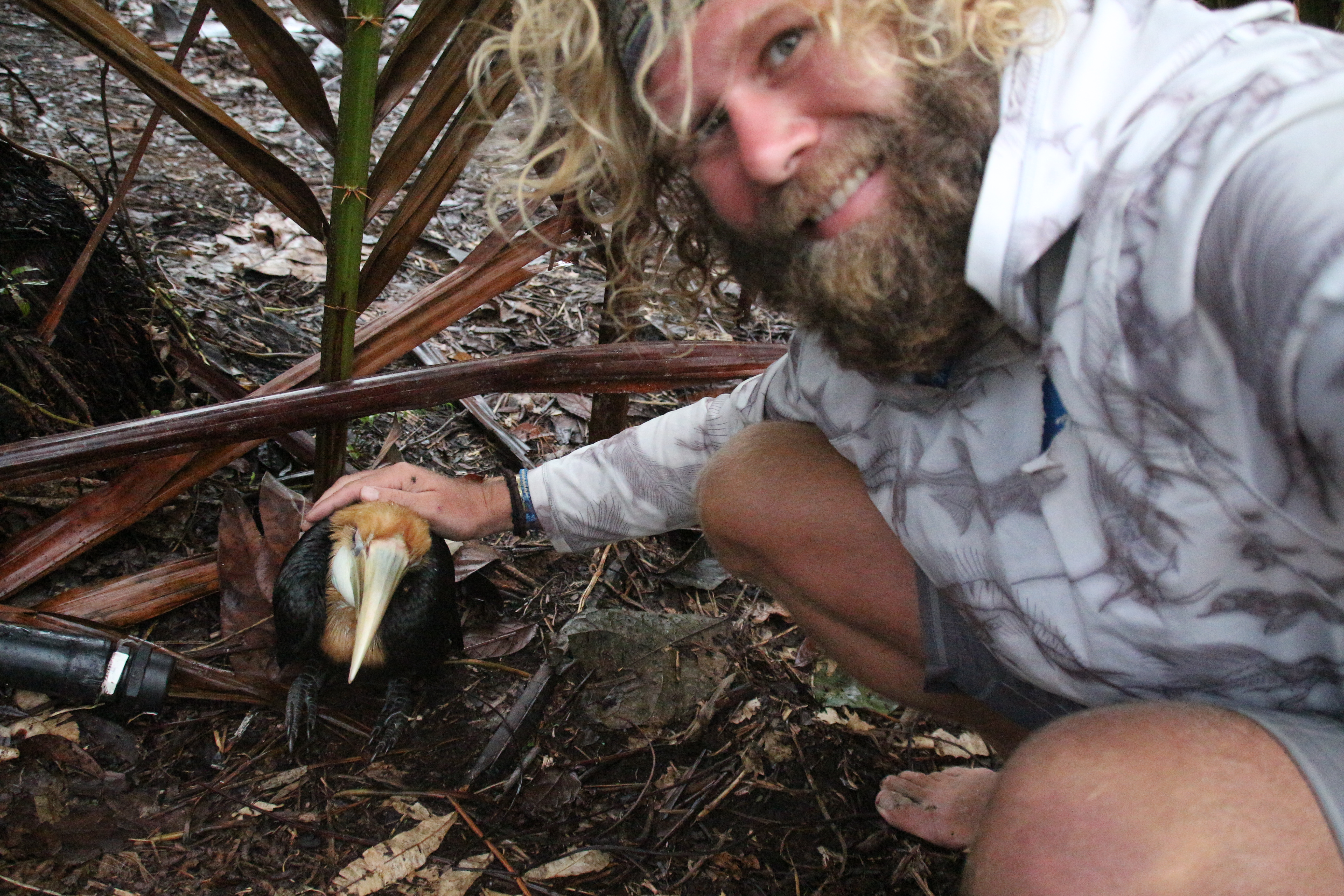 Babe billhorn that fell from the tree and the village took it in. Amazing time