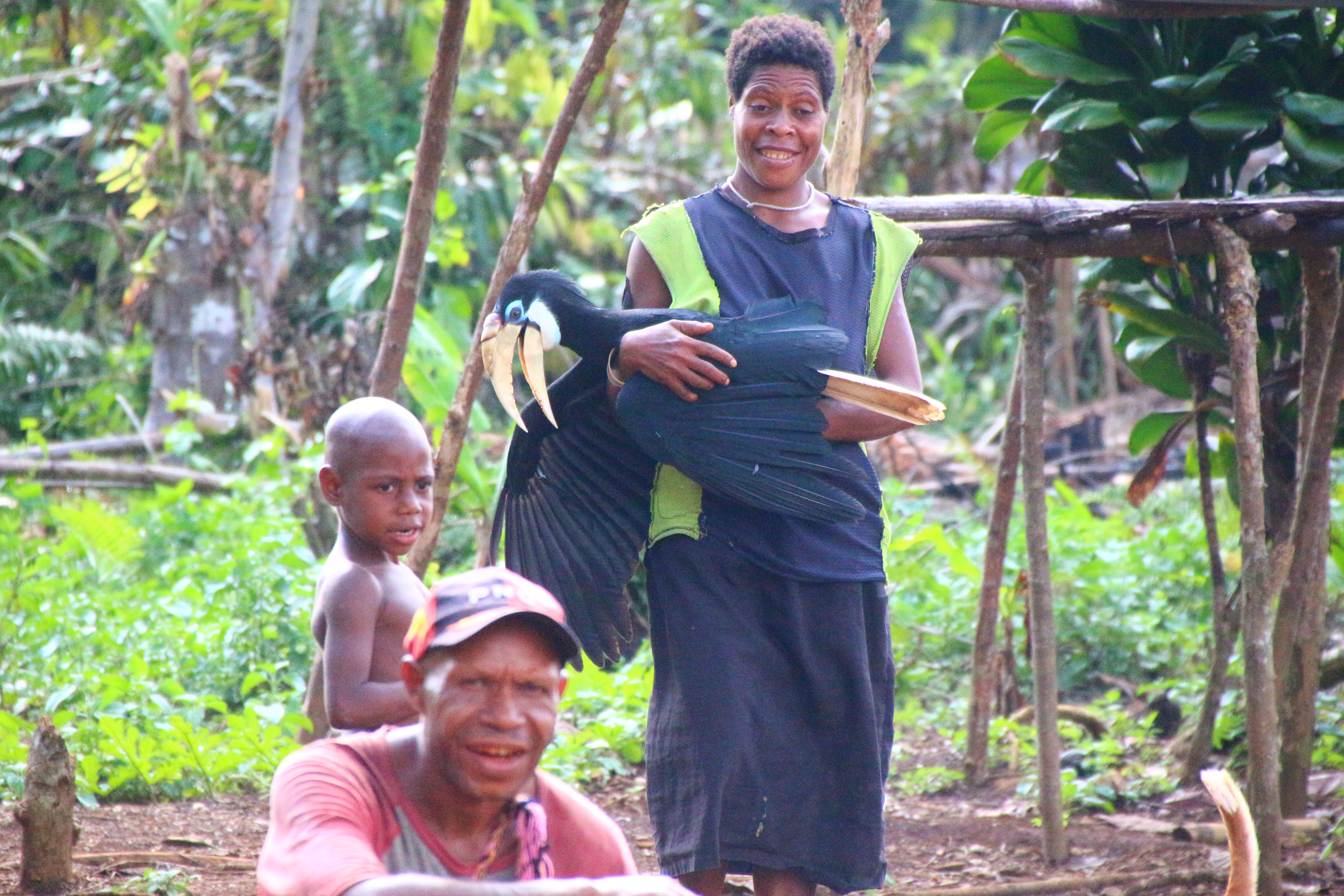A two year old wild billhorn bird.  So beautiful 